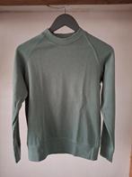 Raizzed sweater maat 14/164, Ophalen, Jongen of Meisje, Trui of Vest, Zo goed als nieuw