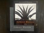 Edward Weston, Ophalen of Verzenden, Onbekend, Gelezen, Fotografen