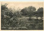 (388-514-023) Bentveld Woodbrookers, Verzenden, Noord-Holland