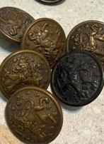 Oude knopen met leeuw, Ophalen of Verzenden, Overige landen, Losse munt