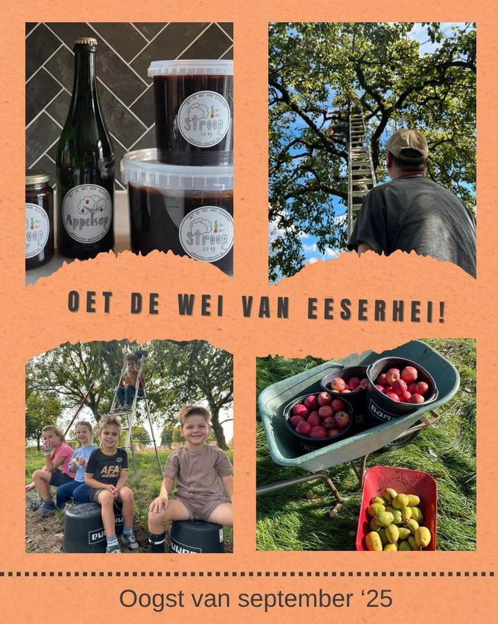 Appelsap en stroop, Diversen, Levensmiddelen, Ophalen