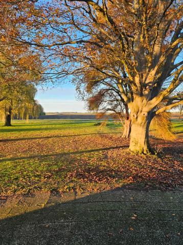 gezocht. hoes voor ektorp hoekbank - afbeelding 1