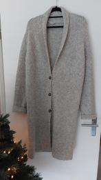 Zusss wollig vest - Maat L, Maat 42/44 (L), Ophalen of Verzenden, Grijs, Gedragen