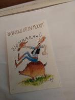 DE VELUWE OP Z'N MOOIST.  COWBOY OP ZWIJN, Ophalen of Verzenden