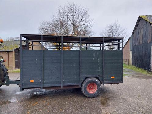 Veewagen veetrailer veetransporten met kenteken, Dieren en Toebehoren, Schapen, Geiten en Varkens, Schaap, Meerdere dieren