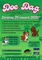 Doe Dag in Den Dungen, Ophalen, Nieuw