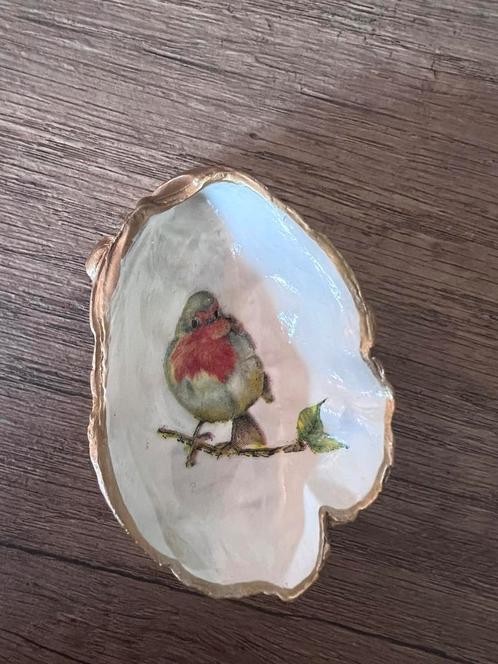 Oesterschelp met roodborstje, Verzamelen, Mineralen en Fossielen, Schelp(en), Ophalen of Verzenden