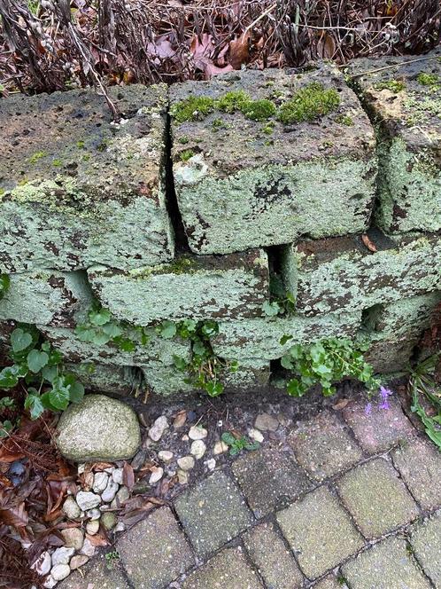 borderstenen, Tuin en Terras, Bielzen en Borders, Gebruikt, Blok, Natuursteen, Minder dan 25 cm, Minder dan 100 cm, Minder dan 25 cm