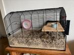 Mooie grote hamsterkooi met hamster!, Dieren en Toebehoren, Minder dan 60 cm, Kooi, Minder dan 75 cm, Ophalen of Verzenden