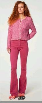 Fabienne Chapot Eva flare broek maat 29 *nieuw *, Fabienne Chapot, Ophalen of Verzenden, Nieuw