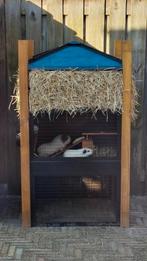 Hooiberg cavia (of kleine konijnen) hok 1 jaar oud, Dieren en Toebehoren, Ophalen, 110 cm of meer, Zo goed als nieuw, 90 cm of meer