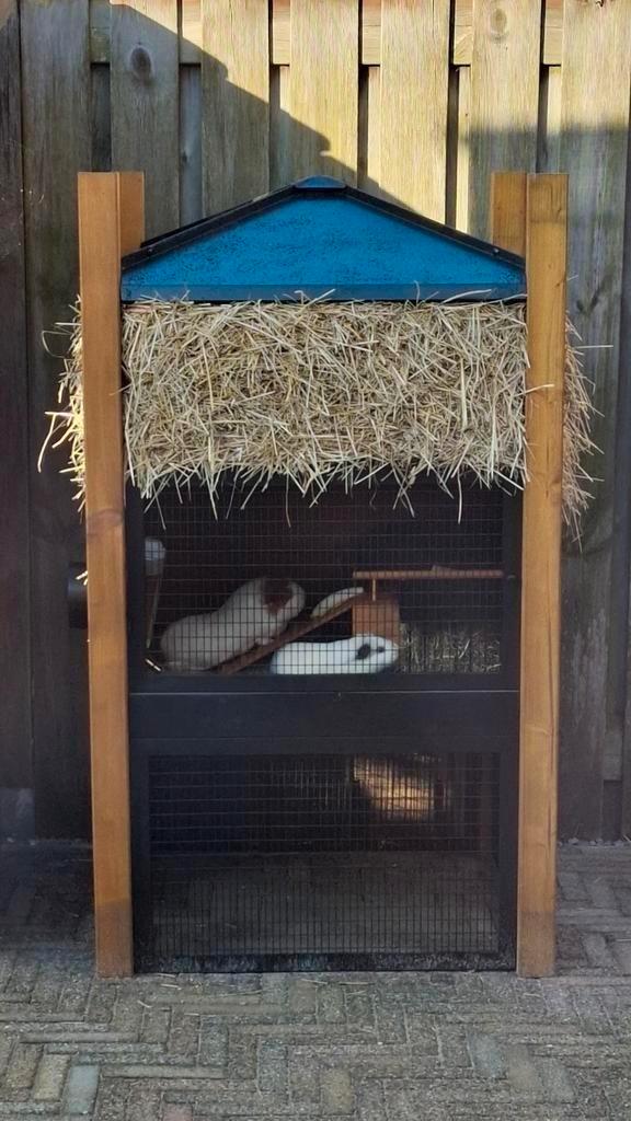 Hooiberg cavia (of kleine konijnen) hok 1 jaar oud, Dieren en Toebehoren, Knaagdieren en Konijnen | Hokken en Kooien, Zo goed als nieuw