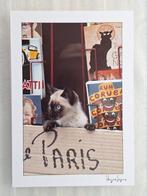 Siamese kitten in Parijs tussen de ansichtkaarten, Ophalen of Verzenden, 1980 tot heden, Ongelopen, Hond of Kat