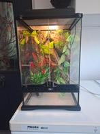 Terrarium ExoTerra 31x31x57 inc. losse lamp van 10 cm hoog, Dieren en Toebehoren, Reptielen en Amfibieën | Toebehoren, Ophalen