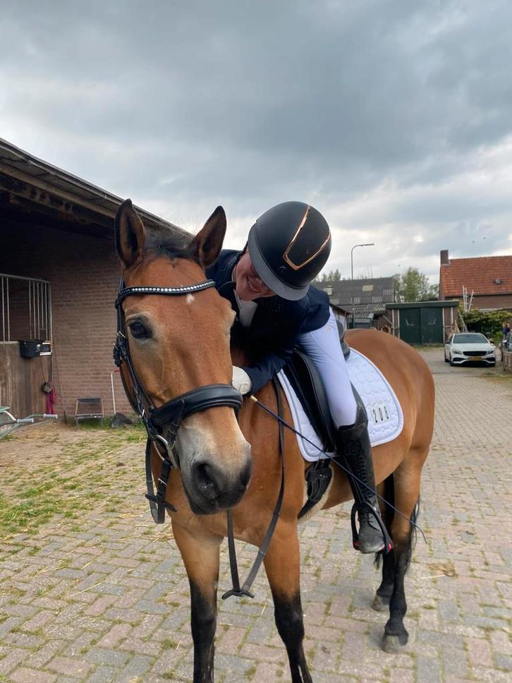 BIJRIJDER/LEASER AANGEBODEN, BIJRIJDPAARD GEZOCHT, Dieren en Toebehoren, Paarden en Pony's | Overige Paardenspullen, Nieuw, Recreatie