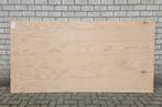 5x Multiplexplaten - 2440 x 1220 x 12 mm plywood, Doe-het-zelf en Verbouw, Platen en Panelen, Ophalen, Zo goed als nieuw, Multiplex