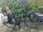 Cortina Common Geared Bike, Fietsen en Brommers, Fietsen | Dames | Moederfietsen, 2 zitjes, Gebruikt, 47 tot 50 cm, Ophalen