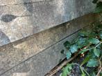 Betonnen opsluit bandjes 7 stuks gratis ophalen, Tuin en Terras, Overige typen, Ophalen of Verzenden, Zo goed als nieuw, Minder dan 5 m²