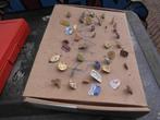 partij speldjes, Ophalen of Verzenden, Gebruikt, Overige onderwerpen, Speldje of Pin