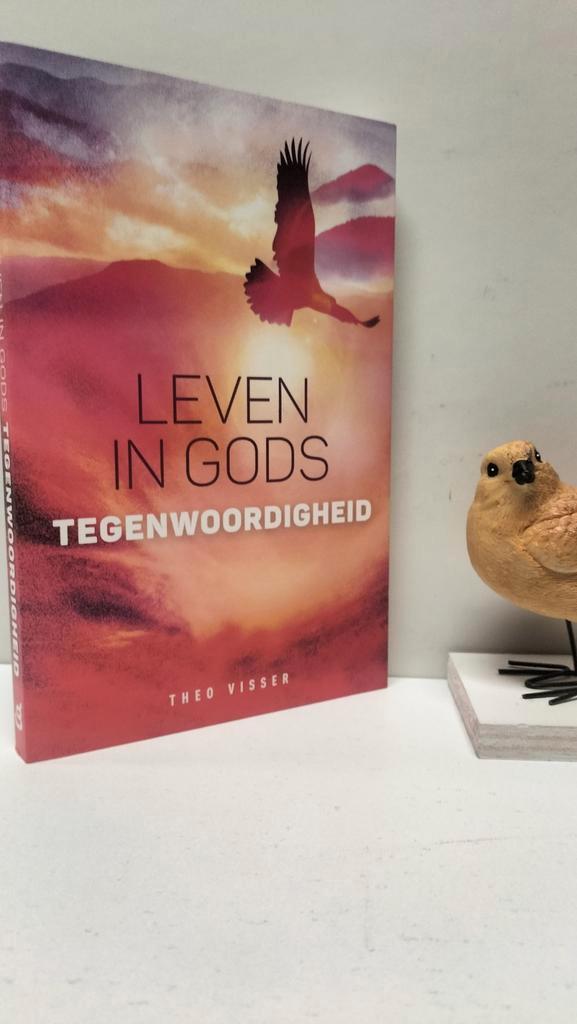 Visser, Theo; Leven in Gods tegenwoordigheid, Boeken, Godsdienst en Theologie, Gelezen, Christendom | Protestants, Ophalen of Verzenden
