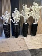 Zwart schelpenvazen met bloesemboom, Ophalen of Verzenden