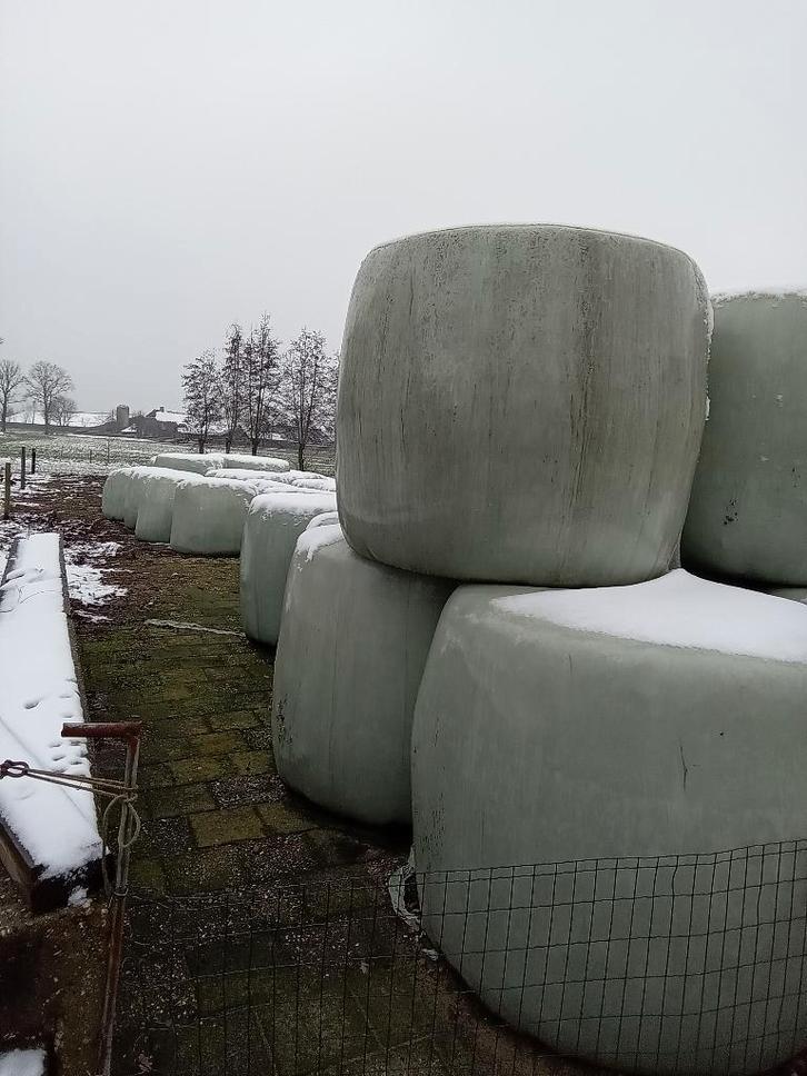 Ronde balen, Dieren en Toebehoren, Dierenvoeding, Vee, Ophalen