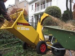 Snoeien/snipperen aangeboden gezocht, Diensten en Vakmensen, Tuinmannen en Stratenmakers