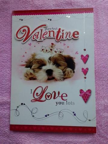 Valentijnskaart met envelop - 26x38 cm - NIEUW ONGEBRUIKT 2