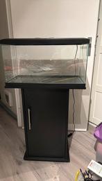 Aquarium 60 cm, Dieren en Toebehoren, Vissen | Aquaria en Toebehoren, Ophalen, Zo goed als nieuw, Leeg aquarium