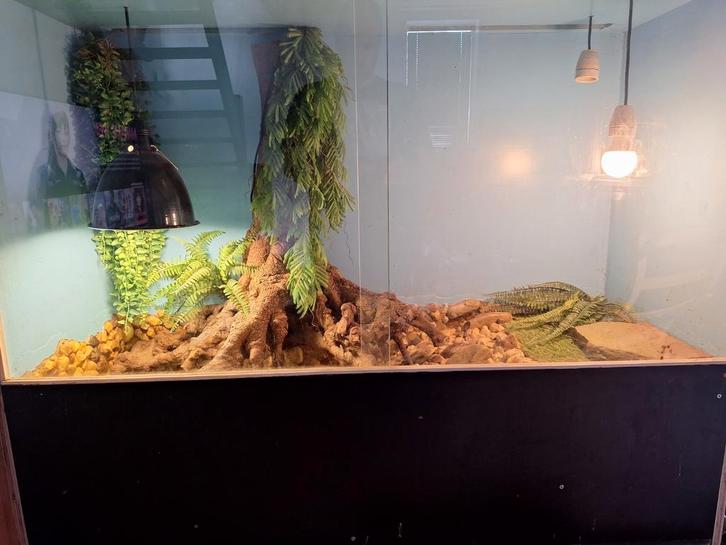Te koop uniek terrarium!, Dieren en Toebehoren, Reptielen en Amfibieën | Toebehoren, Zo goed als nieuw, Terrarium of Paludarium