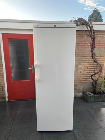 LIEBHERR GP 4013-20 A+++ vrij grote vriezer beschikbaar voor biedingen