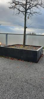 Polyester  bloembak, Tuin en Terras, Ophalen, Kunststof, 100 cm of meer, Vierkant