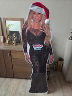 Mariah Carey Kartonnen Figuur, Ophalen, Zo goed als nieuw