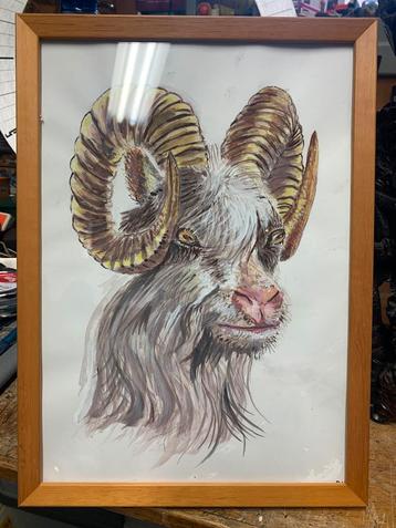 Tekening of aquarel van steenbok in goede staat beschikbaar voor biedingen