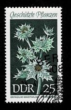 postzegel 1156 DDR bloemen Stranddistel, Ophalen of Verzenden, DDR, Gestempeld