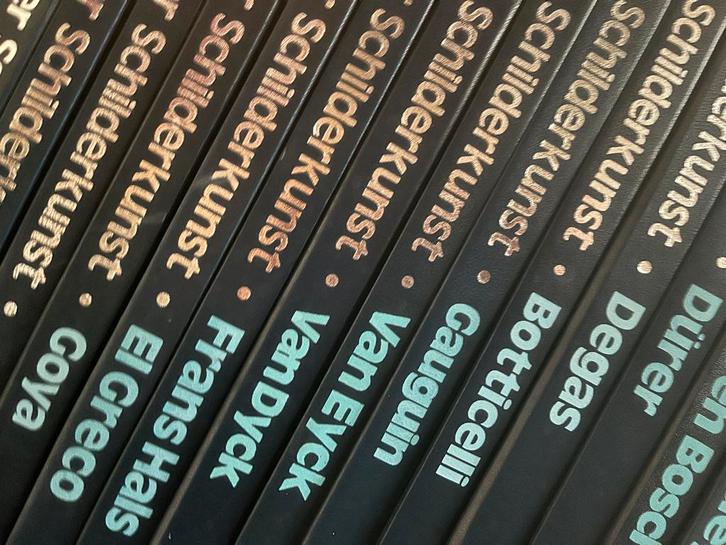Meesters der Schilderkunst - Complete Collectie, Boeken, Kunst en Cultuur | Beeldend, Zo goed als nieuw, Ophalen