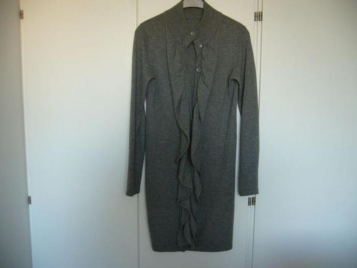 Cane en Cane vest mt XS - S nog nieuw, Kleding | Dames, Truien en Vesten, Nieuw, Maat 36 (S), Grijs, Ophalen of Verzenden