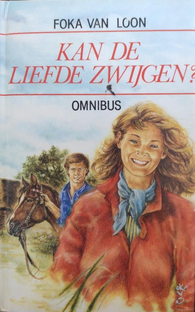 Boek Foka van Loon, Boeken, Ophalen of Verzenden, Zo goed als nieuw, Foka van Loon, Nederland