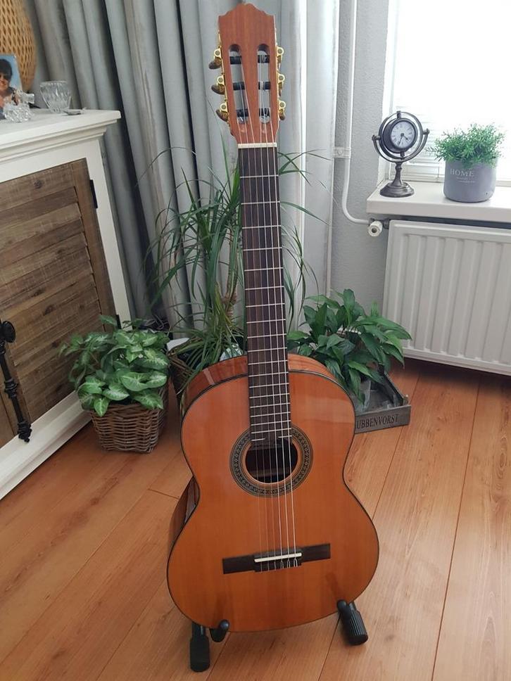 Akoestische gitaar Salvador Cortez voor linkshandigen., Muziek en Instrumenten, Snaarinstrumenten | Gitaren | Akoestisch, Zo goed als nieuw