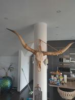 Geweien decoratie, Ophalen of Verzenden, Gebruikt