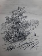 Orgin. Lithografie uit Böhmen, Verzenden