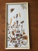 "Droogboeket met Vlinder" Ingelijst met Glas 'Jaren 60', Ophalen of Verzenden, Zo goed als nieuw