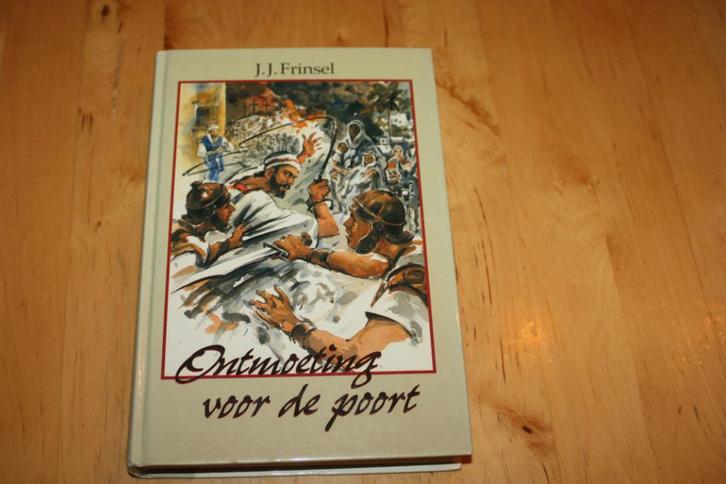 Ontmoeting voor de poort, J J Frinsel, Boeken, Kinderboeken | Jeugd | 10 tot 12 jaar, Gelezen, Fictie, Ophalen of Verzenden