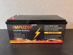 Lithium Accu LifePO4 12V 200ah NIEUW, Auto-onderdelen, Ophalen of Verzenden