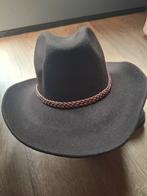 Cowboy hoed bruin, Kleding | Heren, Hoeden en Petten, Ophalen of Verzenden, Zo goed als nieuw