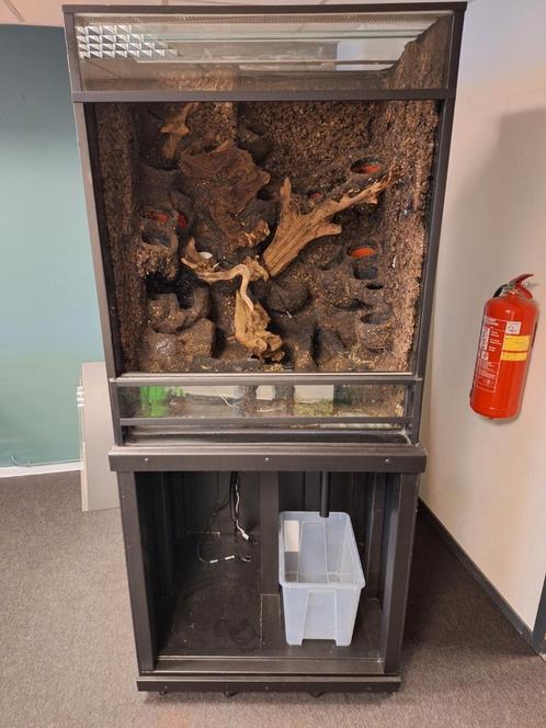 Groot paludarium met onderkast en lichtkap, Dieren en Toebehoren, Reptielen en Amfibieën | Toebehoren, Zo goed als nieuw, Terrarium of Paludarium