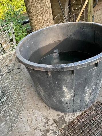 Vijver / plantenbak beschikbaar voor biedingen
