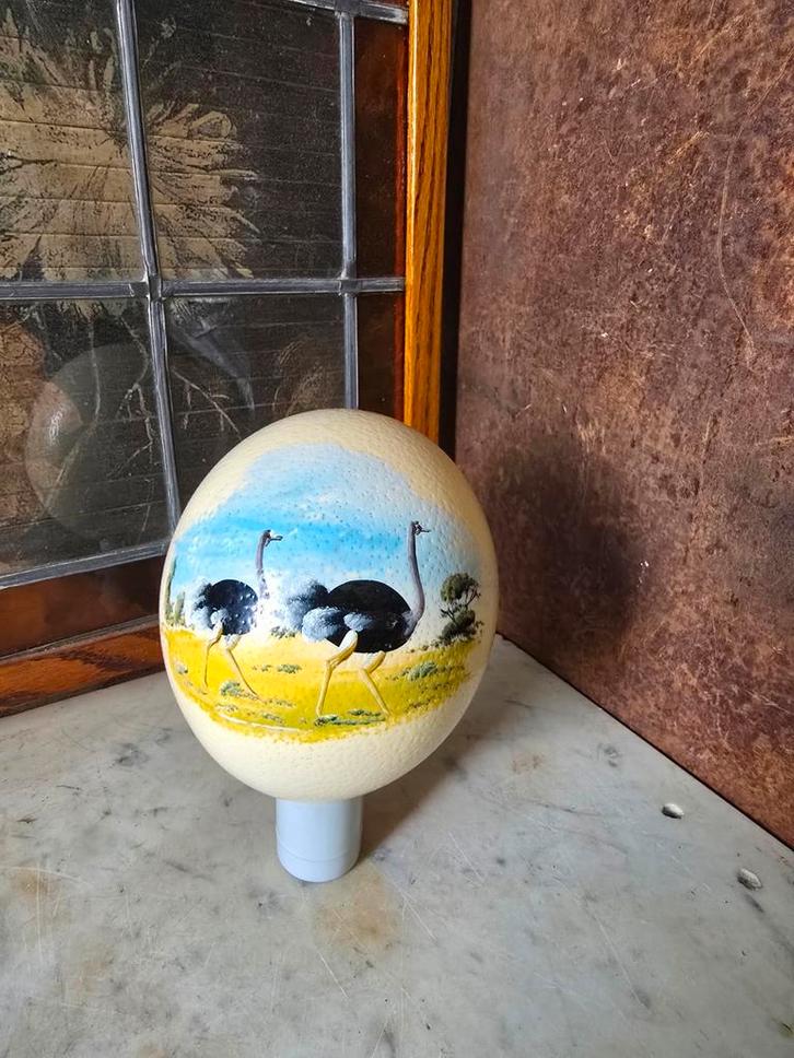 Struisvogel ei, Antiek en Kunst, Curiosa en Brocante, Ophalen of Verzenden