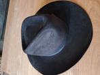 Cowboy hoed origineel, Kleding | Dames, Ophalen of Verzenden, Zo goed als nieuw