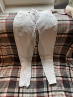 Pikeur 42, Dieren en Toebehoren, Paardrijkleding, Ophalen of Verzenden, Zo goed als nieuw, Dressuur, Bovenkleding